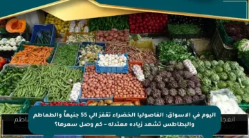 اليوم في الأسواق: الفاصوليا الخضراء تقفز إلى 55 جنيهاً والطماطم والبطاطس تشهد زيادة معتدلة – كم وصل سعرها؟